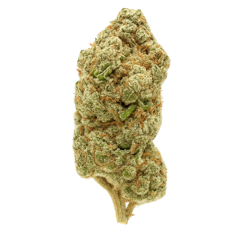 Premium THCA Flower (H) Pink Runtz / 1G *ATX Only